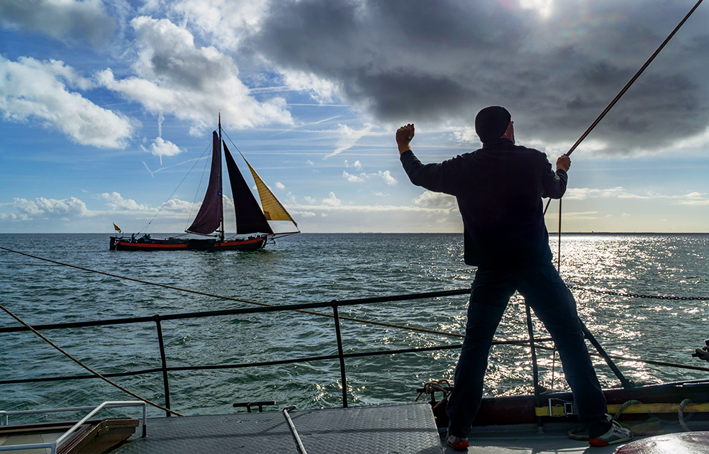 Het juiste zeilschip - Sailing Bird