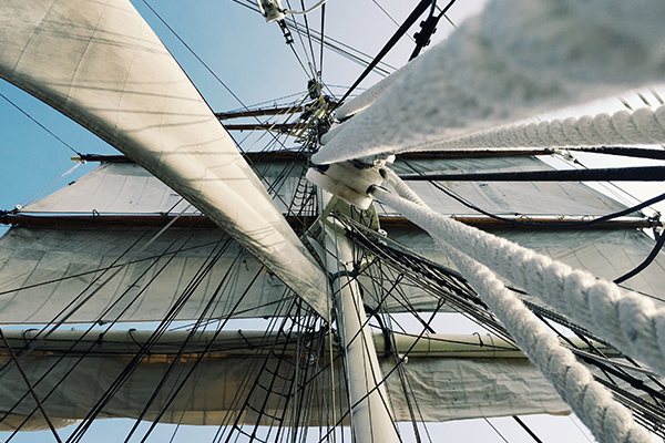 Das perfekte Schiff - Sailing Bird