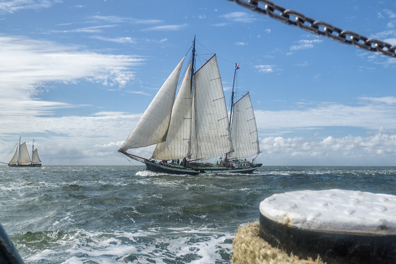 Deinen Segeltraum erfüllen - Sailing Bird