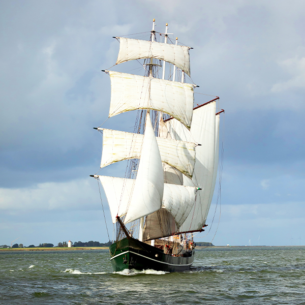 Het perfecte schip - Sailing Bird