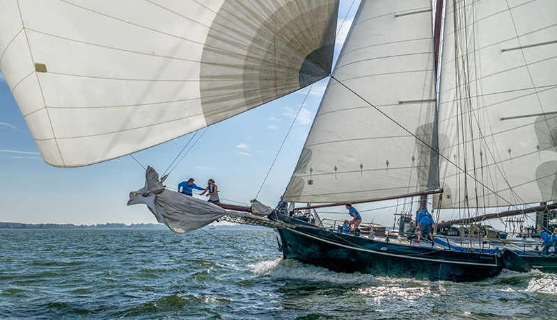 Zeilschip huren - Sailing Bird