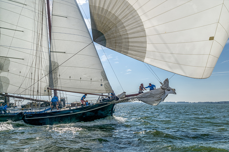 Boek een zeilschip - Sailing Bird