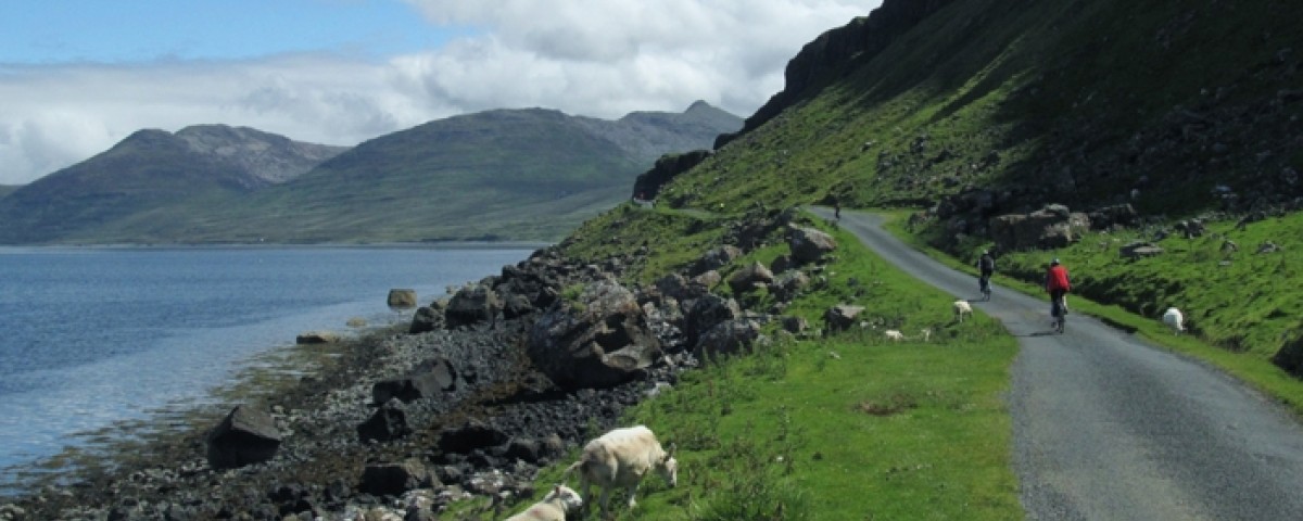 Voluptatem suscipit illum inventore ipsa.