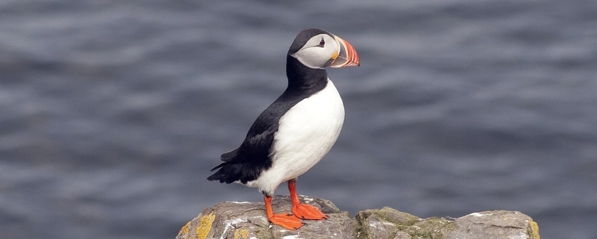 Dolorem labore enim labore eveniet atque possimus qui.