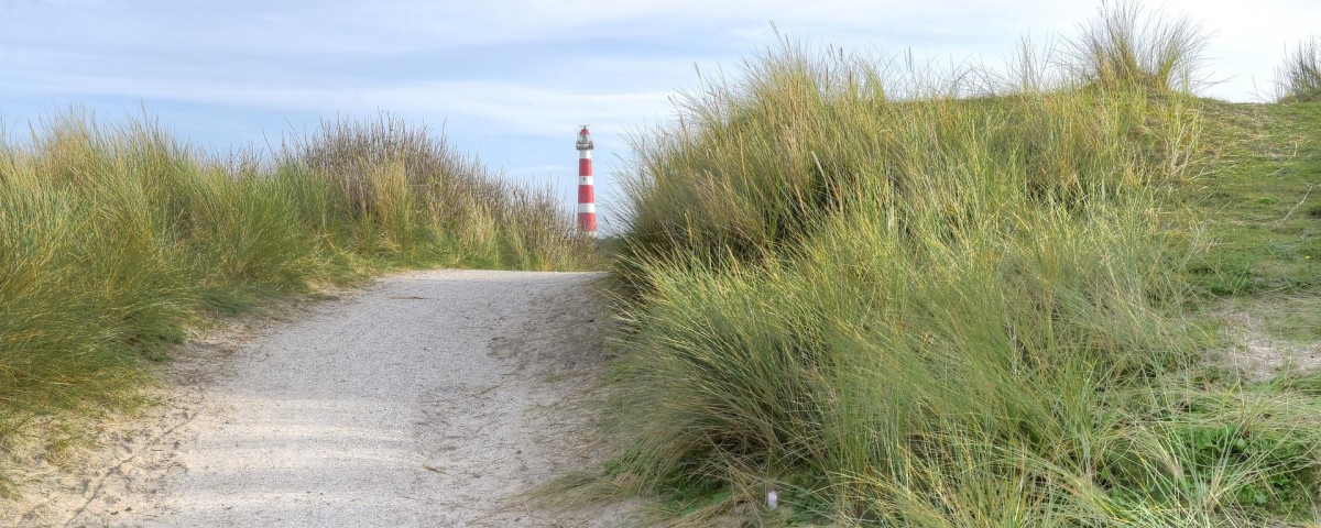 Vel laborum et ipsa.