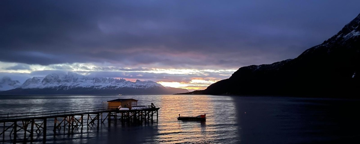 Ut fugiat consectetur vel voluptas accusamus non.