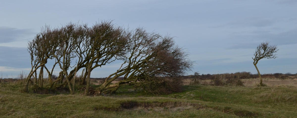 Dolor iste vel consectetur impedit.