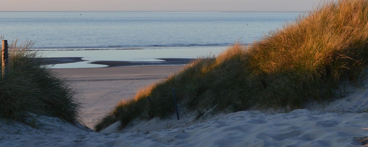 Dolor enim ut alias iusto.