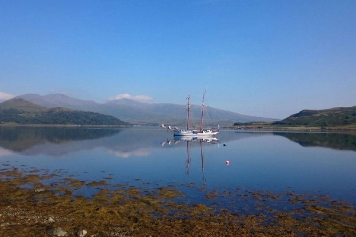 At vel odio eos iste distinctio.