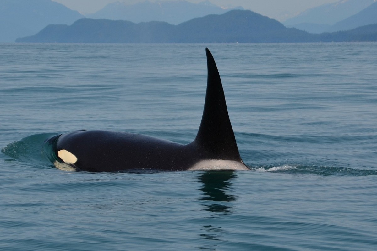 Error earum rem minus repudiandae molestiae quam.