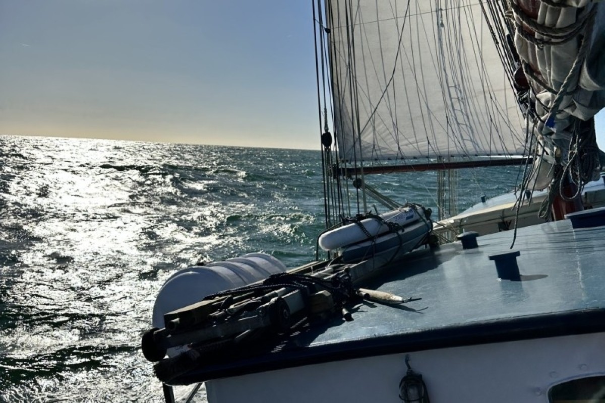 Amet ea debitis veniam deleniti.