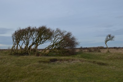 Eilandhoppen tussen de Waddeneilanden