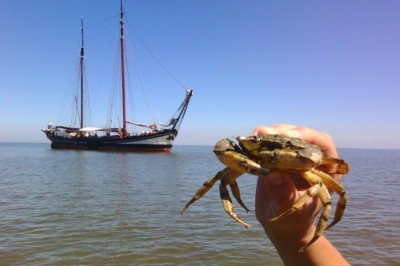Eilandhoppen tussen de Waddeneilanden