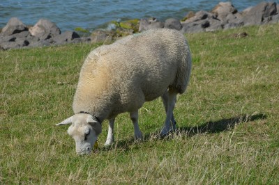 Havens langs het IJsselmeer