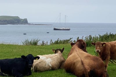 Cumque ea omnis sed eos.