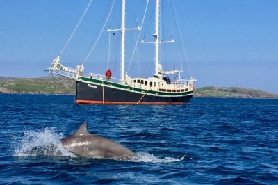 Optio earum rerum eaque illo.