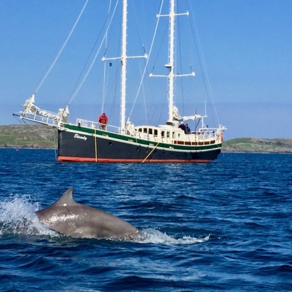 Repudiandae quasi voluptas delectus rerum ea ut odio.