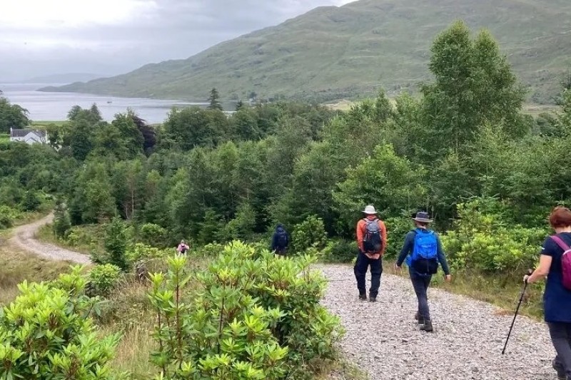 Tempora repudiandae ea dolore officiis.